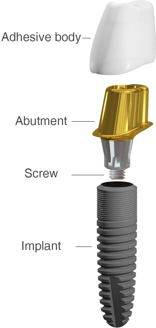 lts-ti-base-hybrid-abutment-praemolar